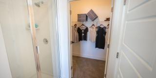 Anthem on Ashley Gallery 14