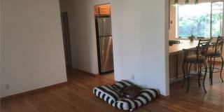 Bright South Boulder House for Rent Gallery 4