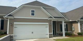 Brand New in Trolley Run Gallery 1