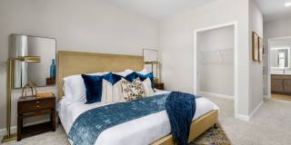 The Canopy Gallery 15