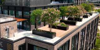 Lincoln at Bankside Gallery 15