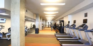 Regents Park Gallery 19