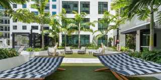 Aster & Links Gallery 10