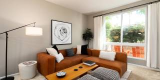 Domicilio Gallery 19