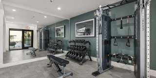 Cortland Scottsdale Mountain Gallery 16