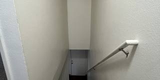 Mt. Pleasant Gallery 15