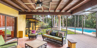 334 Palm Trail Gallery 33