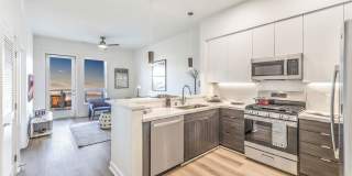 Ariva Luxury Residences Gallery 67