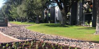 Saguaro Villas Gallery 39