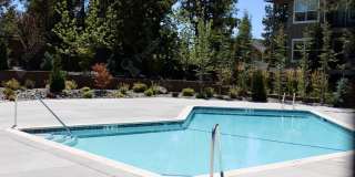 3 BR pet-friendly home with fenced yard Gallery 3