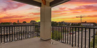 The Felix Gallery 12