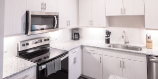 Magnolia at West Lemmon Gallery 30