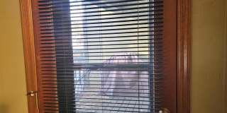 2327 E Rainbow Lane Gallery 17