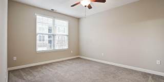 5137 Foxtail Pine Street Gallery 27