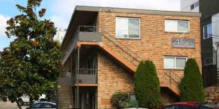 Allegro Gallery 8
