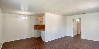 Upgraded 2/1 in South Austin Gallery 1