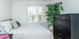 Park Sierra Gallery 8