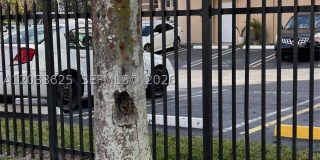 13120 SW 64th Ter Gallery 25