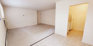 Graduate and Professional Gallery 46