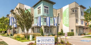 Olympus at The District Gallery 33