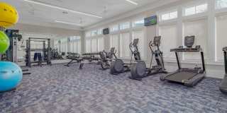 Ariza Corpus South Gallery 9