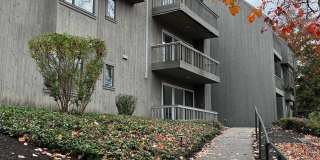 1 Pine Street Gallery 1