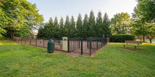 Summerlyn Place Gallery 21