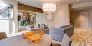 Virginia Square Gallery 40