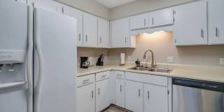 Available June 22nd! Beautiful Gallery 11