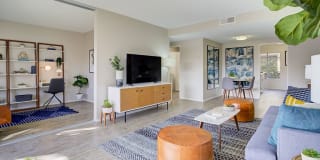 Sofi Thousand Oaks Gallery 4