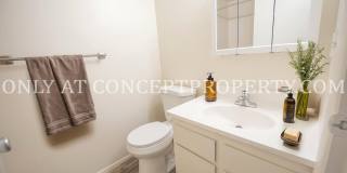 Aspen Pines Gallery 24