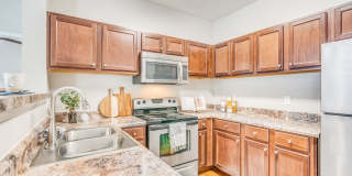 Vintage Retreat Apartments Gallery 4