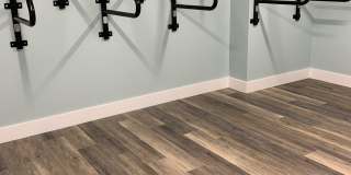 Avaya Ridge Gallery 24