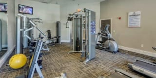 RiverTree Gallery 12