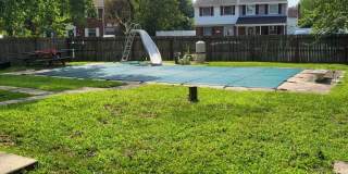 152 SEAGULL Gallery 2