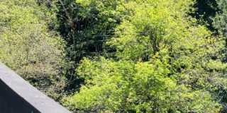 3 Bedroom 2 bath recently updated Gallery 36