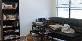 WINDTREE 306 Gallery 17