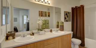 Arezzo Apartment Homes Gallery 9