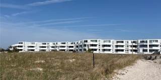 253 Dune Gallery 18