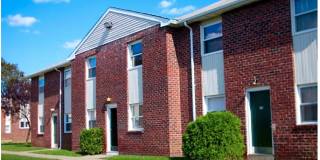 Buena Vista Gallery 1