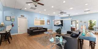 Sea Oats Sea Oats Gallery 54