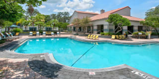 Vantage on Hillsborough Apartments Gallery 15