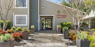 The Alexandar Gallery 6