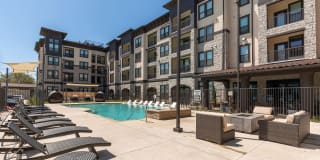 Cavalli at Iron Horse Station Gallery 11