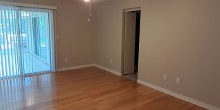 3413 Jasmine Trace Lane Gallery 35