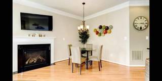 23421 SPICE BUSH Terrace Gallery 9