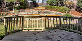 4 bed 3 bath Stonegate home across from park Gallery 16