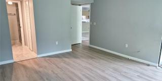 222 CARYL Way Gallery 22