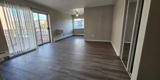 Close to Stapleton - Anschutz - DIA - Renovated 1 Bedroom With Balcony Gallery 5