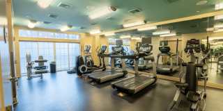 Mosaic at Metro Gallery 27